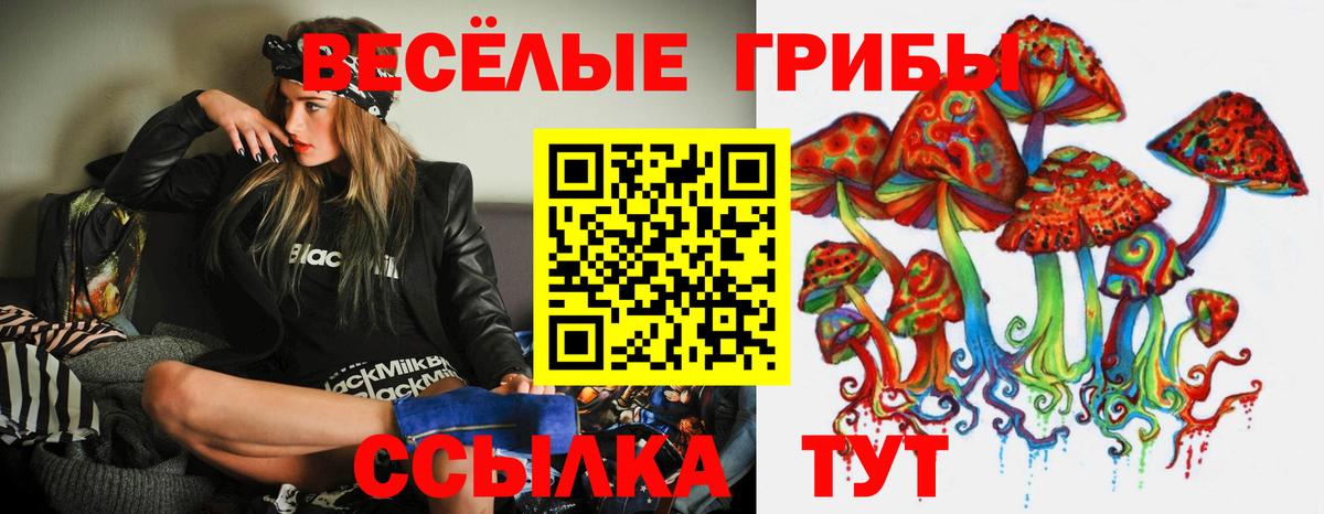 Луга  Псилоцибиновые грибы ЛСД  Вход с VPN 
